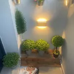 Foxy Summer House